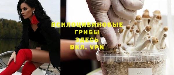 а пвп мука Дмитров