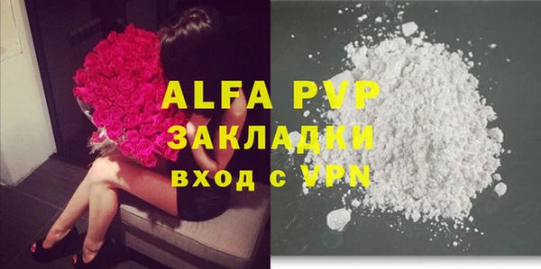 спиды Осташков