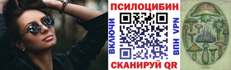 Псилоцибиновые грибы MAGIC MUSHROOMS  купить закладку  Урень 